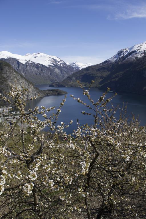 Valldal Camping Екстериор снимка